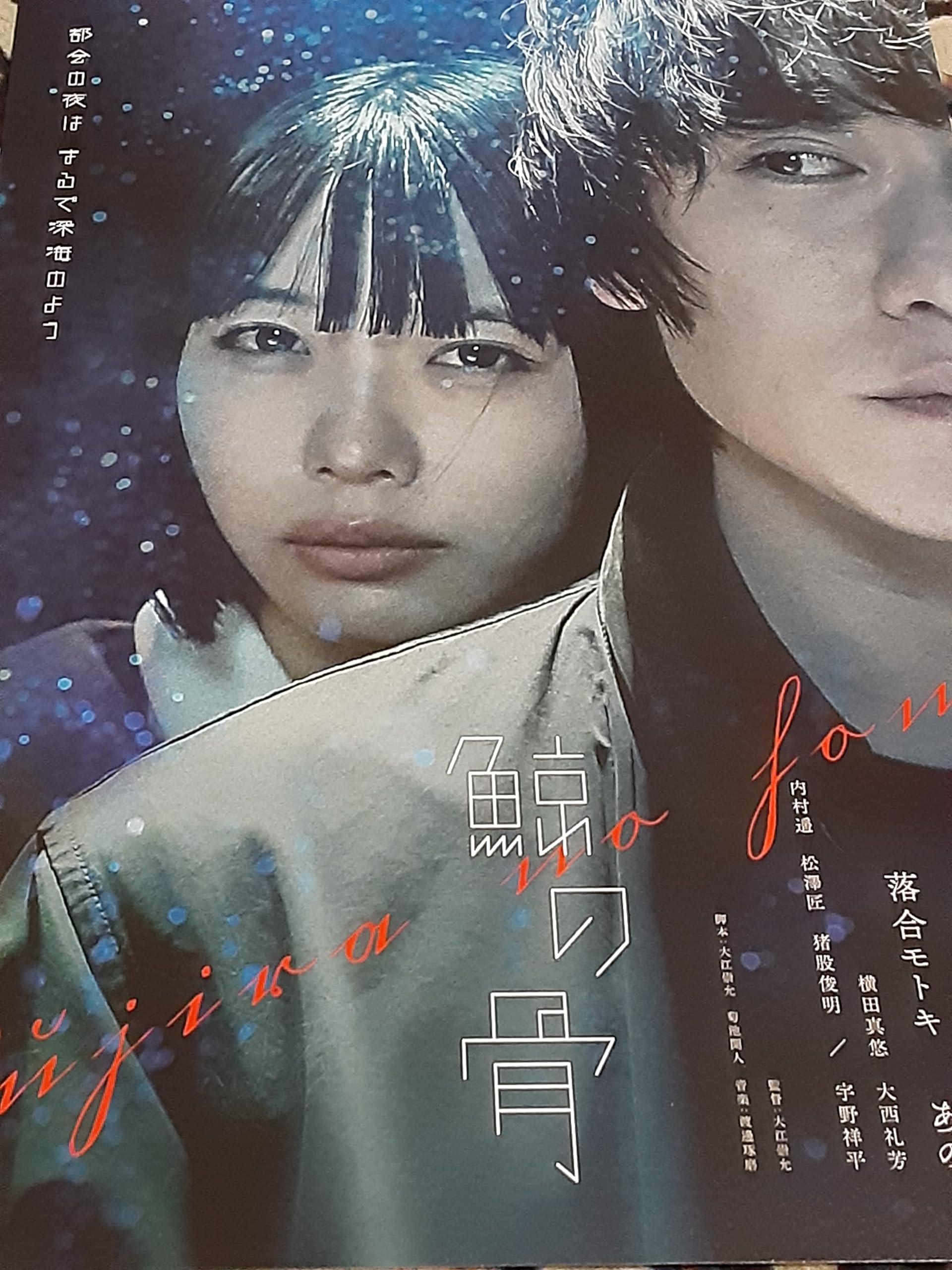 映画チラシ「あなろぐページ」 Amazon.co.jp: 映画チラシ「鯨の骨」落合モトキ あの : ホーム